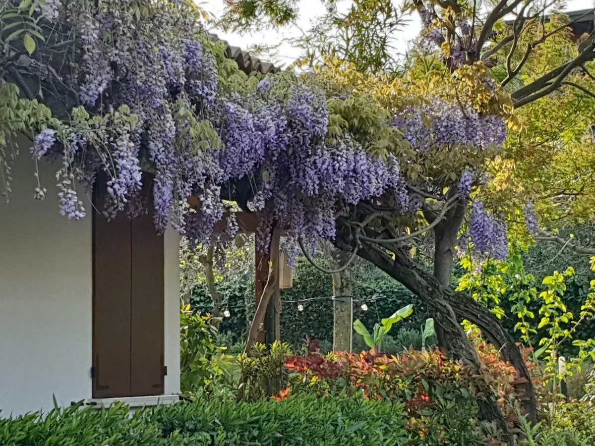Locanda Da Vittorio Manerba del Garda 0*,  Italia